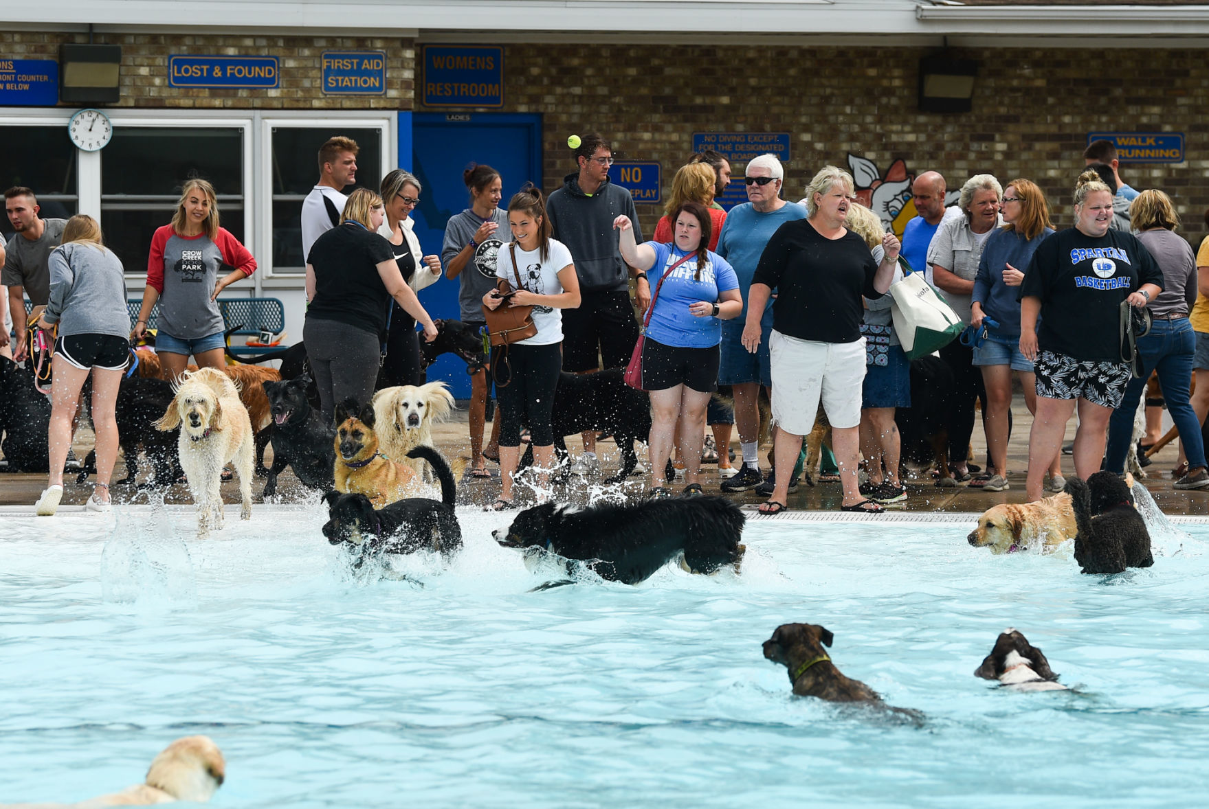 082919-bet-doggysplash-101a.JPG